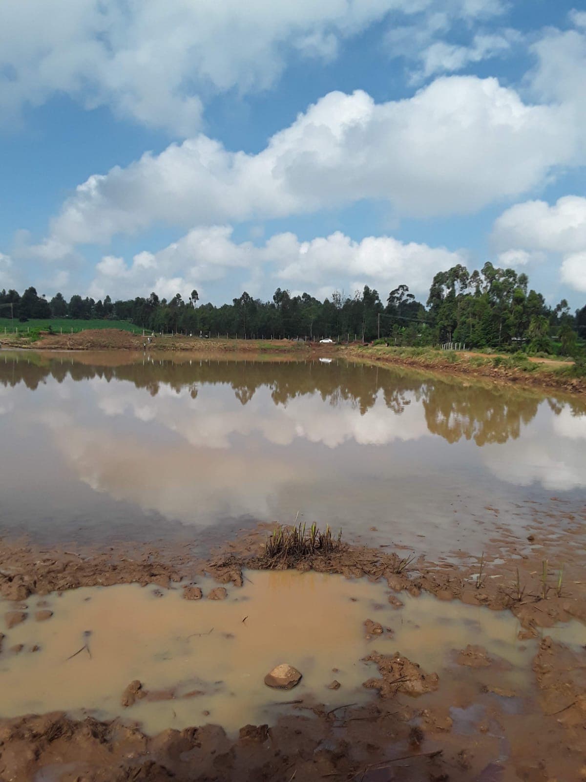 Water Sector Reforms